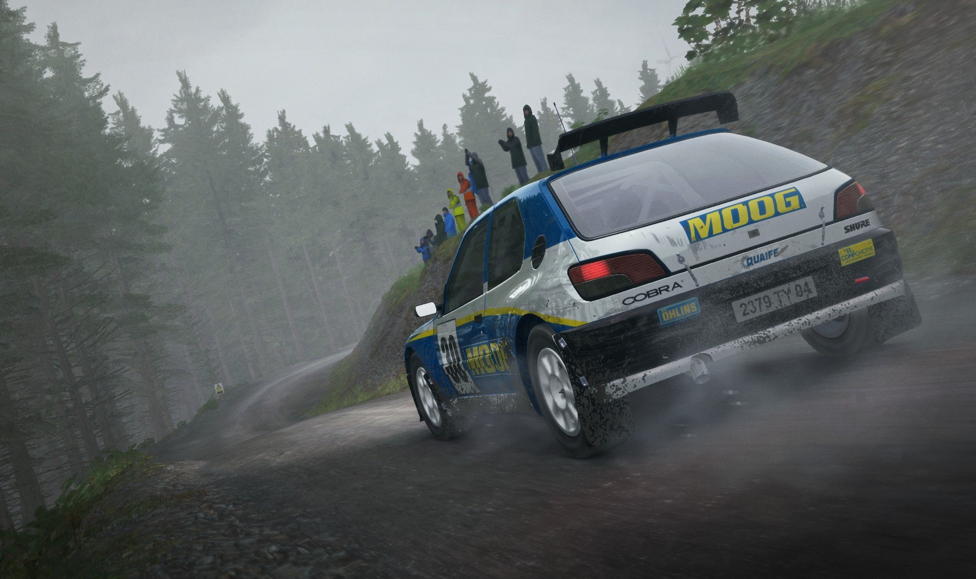 DiRT Rally - Imagen 29